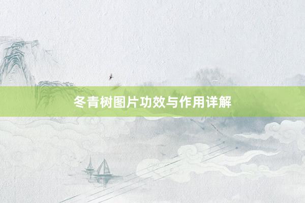 冬青树图片功效与作用详解