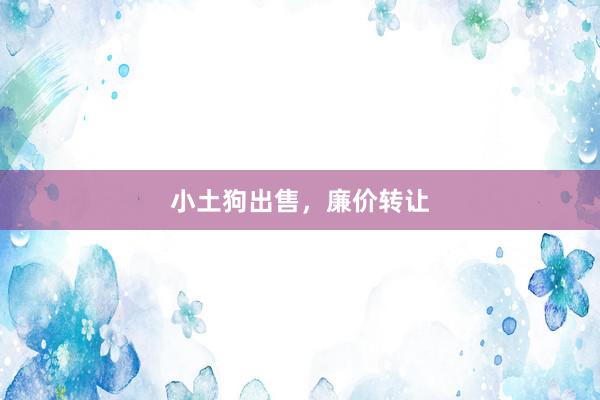 小土狗出售，廉价转让