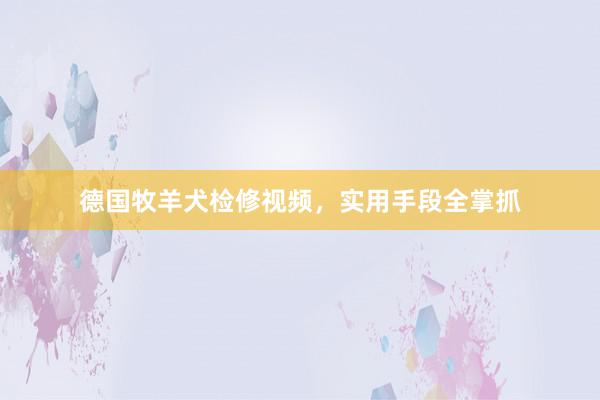 德国牧羊犬检修视频，实用手段全掌抓