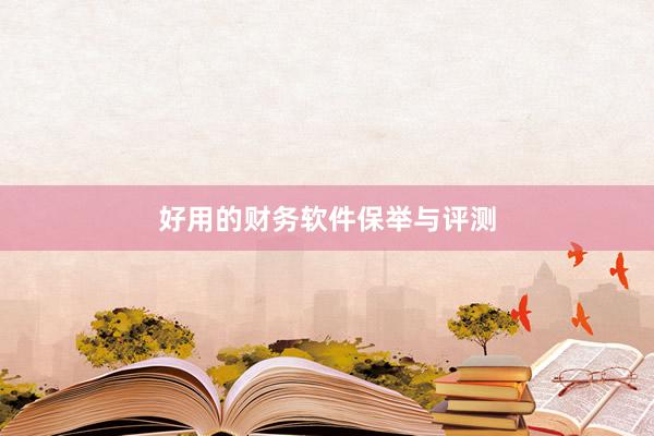 好用的财务软件保举与评测
