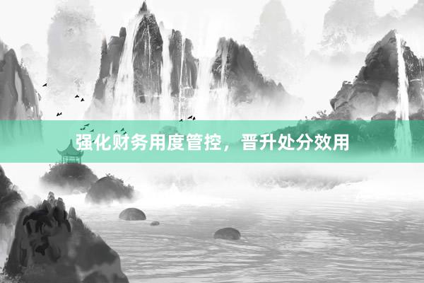 强化财务用度管控，晋升处分效用